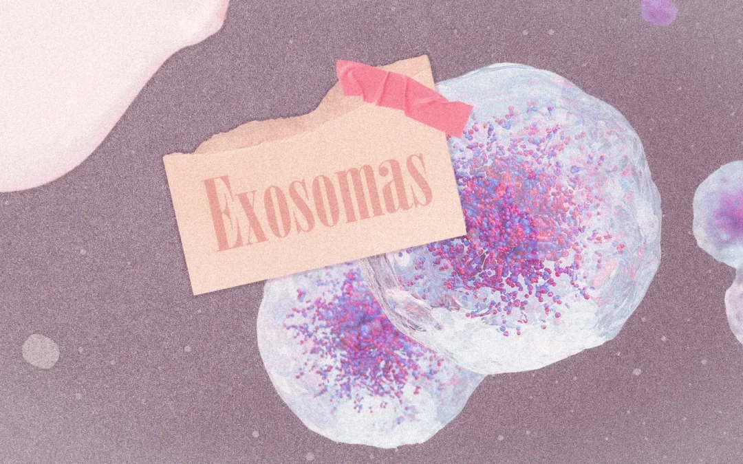 Exosomas: La Novedad en Cosmética